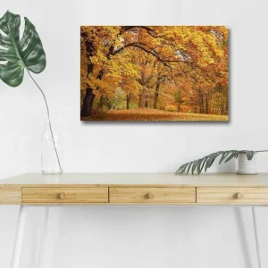 Rabatter Canvastavla med LED-belysning - Vacker höstlandskap med gyllene och orangea lövträd Guld / Orange / Brun - Inredning