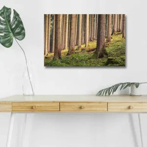 Beställ nu Canvastavla med LED-belysning - Tyst skog med höga träd och frodig grönska Grön / Brun / Beige - Inredning
