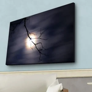 Canvastavla med LED-belysning - Måne som lyser genom mörka moln med en gren i förgrunden Mörkblå / Svart / Vit - Inredning Säker betalning