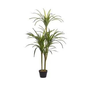 Berden Konstgjord Krukväxt 147 cm Dracaena anita Grön - Inredning Beställ nu
