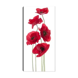 Canvastavla DKY Floral & Botanical Flerfärgad 50x120 cm - Inredning Köp online