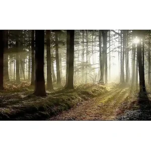 Canvastavla YTY Landscape & Nature Flerfärgad 120x50 cm - Inredning Bästa pris