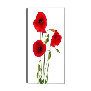 risnedsättning Canvastavla DKY Floral & Botanical Flerfärgad 50x120 cm - Inredning