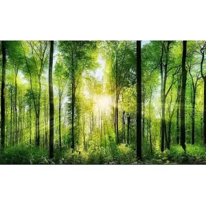 Begränsad tid Canvastavla YTY Landscape & Nature Flerfärgad 120x50 cm - Inredning