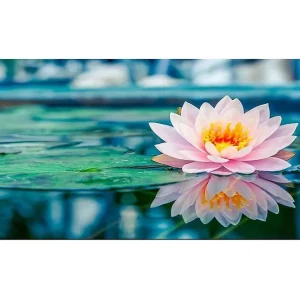 Erbjudandepris Canvastavla YTY Floral & Botanical Flerfärgad 120x50 cm - Inredning