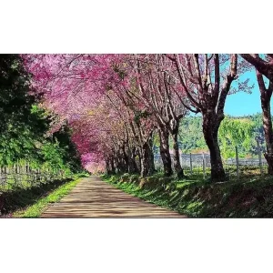 I lager Canvastavla YTY Landscape & Nature Flerfärgad 120x50 cm - Inredning