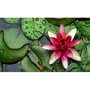 Canvastavla YTY Floral & Botanical Flerfärgad 120x50 cm - Inredning Snabb frakt