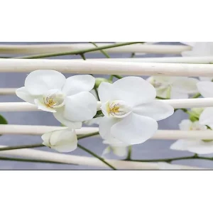 Canvastavla YTY Floral & Botanical Flerfärgad 120x50 cm - Inredning Rea
