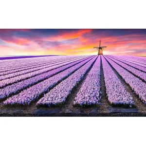 Sänkt pris Canvastavla YTY Floral & Botanical Flerfärgad 120x50 cm - Inredning