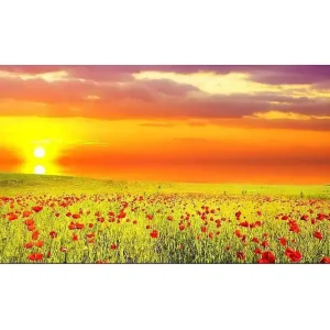 Canvastavla YTY Floral & Botanical Flerfärgad 120x50 cm - Inredning Bästa pris