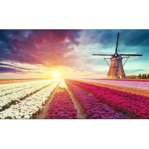 Canvastavla YTY Floral & Botanical Flerfärgad 120x50 cm - Inredning Beställ nu