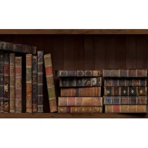 Canvastavla YTY Reading and Literature Flerfärgad 120x50 cm - Inredning Fri frakt