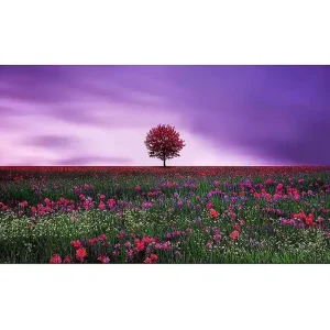 Canvastavla YTY Floral & Botanical Flerfärgad 120x50 cm - Inredning Erbjudandepris