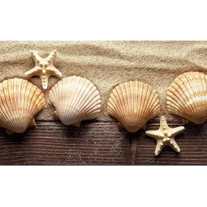 Canvastavla YTY Nautical & Beach Flerfärgad 120x50 cm - Inredning Endast denna vecka