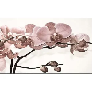 Utförsäljning Canvastavla YTY Floral & Botanical Flerfärgad 120x50 cm - Inredning