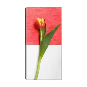 Handla nu Canvastavla DKY Floral & Botanical Flerfärgad 50x120 cm - Inredning