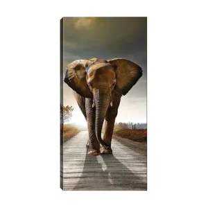 Canvastavla DKY Animals Flerfärgad 50x120 cm - Inredning Snabb frakt