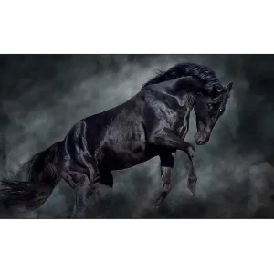 Canvastavla YTY Animals Flerfärgad 120x50 cm - Inredning Kampanjpris