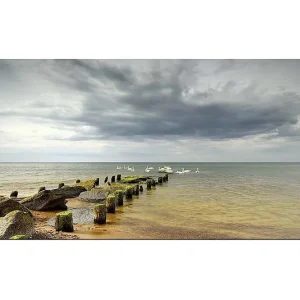 Canvastavla YTY Nautical & Beach Flerfärgad 120x50 cm - Inredning Sista chansen
