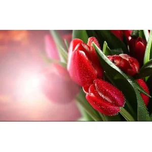 Lägg i varukorgen Canvastavla YTY Floral & Botanical Flerfärgad 120x50 cm - Inredning