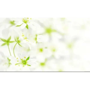 I lager Canvastavla YTY Floral & Botanical Flerfärgad 120x50 cm - Inredning