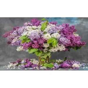 Canvastavla YTY Floral & Botanical Flerfärgad 120x50 cm - Inredning Fynd