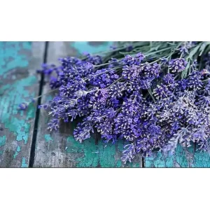 Canvastavla YTY Floral & Botanical Flerfärgad 120x50 cm - Inredning Outlet