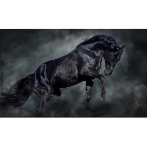 Billig Canvastavla YTY Animals Flerfärgad 120x50 cm - Inredning