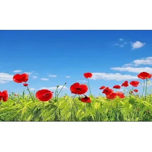 Canvastavla YTY Floral & Botanical Flerfärgad 120x50 cm - Inredning Expressleverans