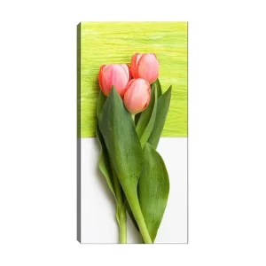 Nedsatt pris Canvastavla DKY Floral & Botanical Flerfärgad 50x120 cm - Inredning