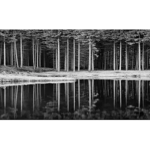 Canvastavla YTY Landscape & Nature Flerfärgad 120x50 cm - Inredning Extra rabatt