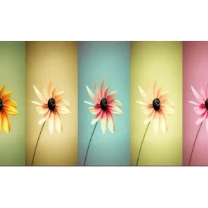 Rea Canvastavla YTY Floral & Botanical Flerfärgad 120x50 cm - Inredning