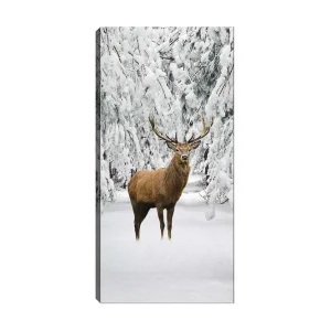 Begränsat erbjudande Canvastavla DKY Animals Flerfärgad 50x120 cm - Inredning