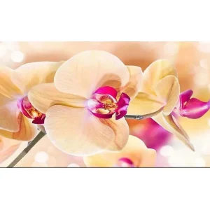 Nedsatt pris Canvastavla YTY Floral & Botanical Flerfärgad 120x50 cm - Inredning