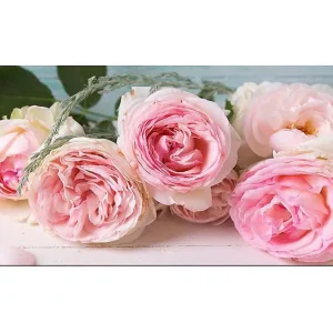 Canvastavla YTY Floral & Botanical Flerfärgad 120x50 cm - Inredning Handla nu
