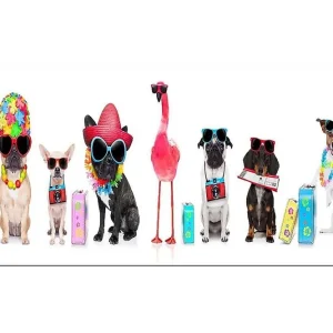 Trygg betalning Canvastavla YTY Animals Flerfärgad 120x50 cm - Inredning