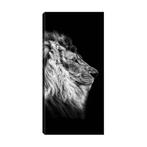 Nedsatt pris Canvastavla DKY Animals Flerfärgad 50x120 cm - Inredning
