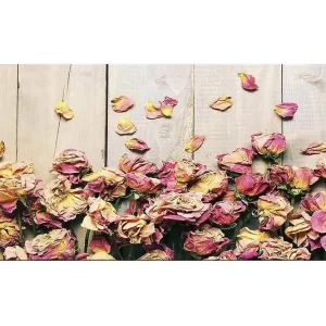 Canvastavla YTY Floral & Botanical Flerfärgad 120x50 cm - Inredning Erbjudandepris