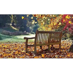 Canvastavla YTY Landscape & Nature Flerfärgad 120x50 cm - Inredning Populärt val
