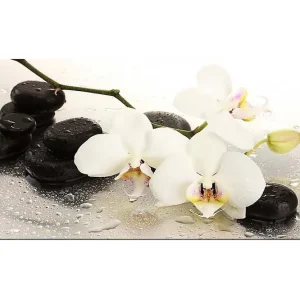 Köp online Canvastavla YTY Floral & Botanical Flerfärgad 120x50 cm - Inredning