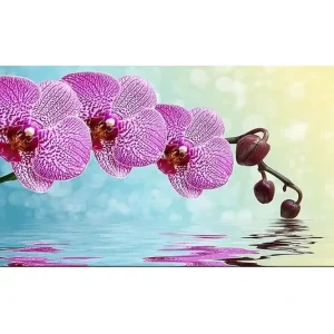 Canvastavla YTY Floral & Botanical Flerfärgad 120x50 cm - Inredning Begränsat antal