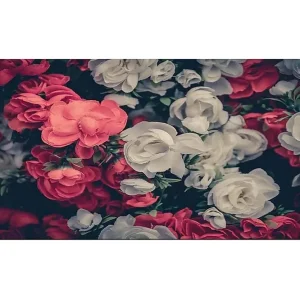 Canvastavla YTY Floral & Botanical Flerfärgad 120x50 cm - Inredning Erbjudande