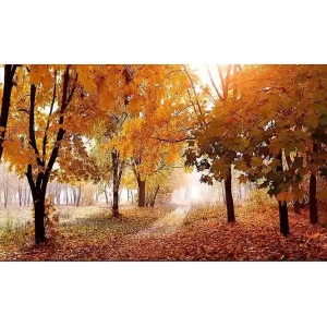 Canvastavla YTY Landscape & Nature Flerfärgad 120x50 cm - Inredning Outlet