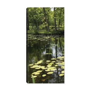 Begränsat erbjudande Canvastavla DKY Floral & Botanical Flerfärgad 50x120 cm - Inredning
