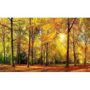 Sänkt pris Canvastavla YTY Landscape & Nature Flerfärgad 120x50 cm - Inredning