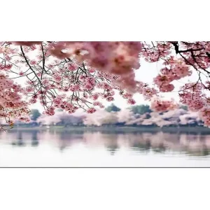 Premium Canvastavla YTY Floral & Botanical Flerfärgad 120x50 cm - Inredning