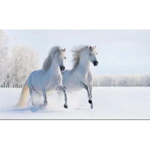 Canvastavla YTY Animals Flerfärgad 120x50 cm - Inredning Köp online